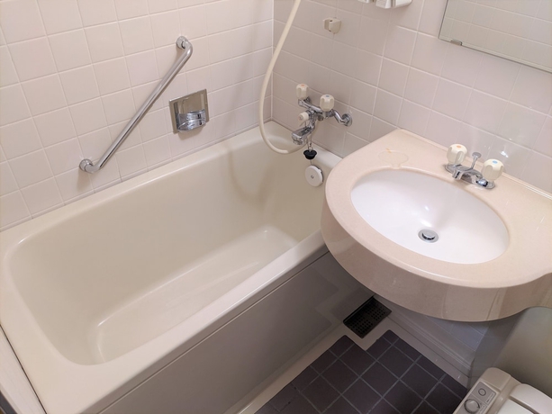 Imagen de la habitación del Hotel Toyama Jiyukan. Foto 12