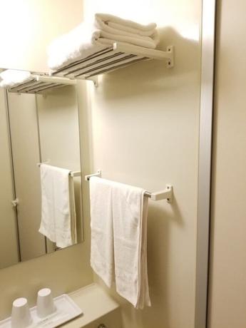 Imagen de la habitación del Hotel Toyoko Inn Ebina-eki Higashi-guchi. Foto 11