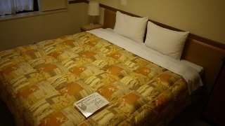 Imagen de la habitación del Hotel Toyoko Inn Hokkaido Sapporo Susukino Minami. Foto 12