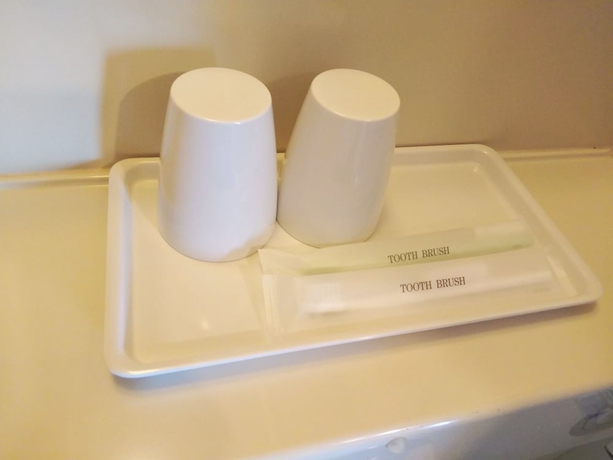 Imagen de la habitación del Hotel Toyoko Inn Keio Line Hashimoto Station Kita. Foto 5