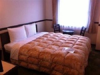 Imagen de la habitación del Hotel Toyoko Inn Kyoto Gojo-omiya. Foto 12