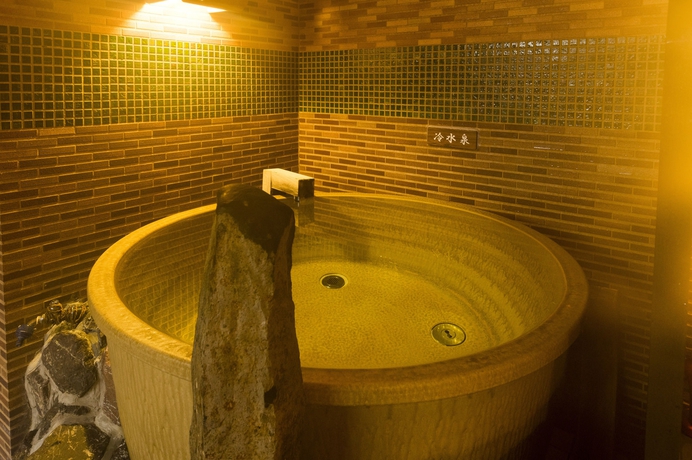 Imagen de la piscina del Hotel Toyoko Inn Osaka Umeda Higashi. Foto 14