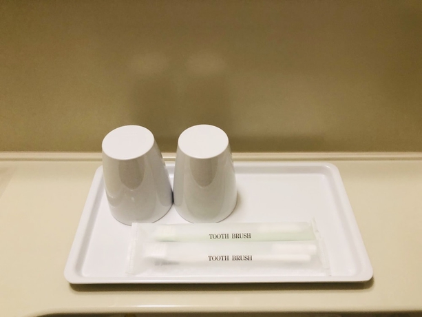 Imagen de la habitación del Hotel Toyoko Inn Tokyo Hachioji-eki Kita-guchi. Foto 13