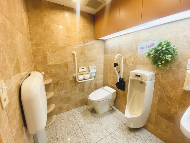 Imagen de los interiores del Hotel Toyoko Inn Tokyo Tameike-sanno-eki Kantei Minami. Foto 12