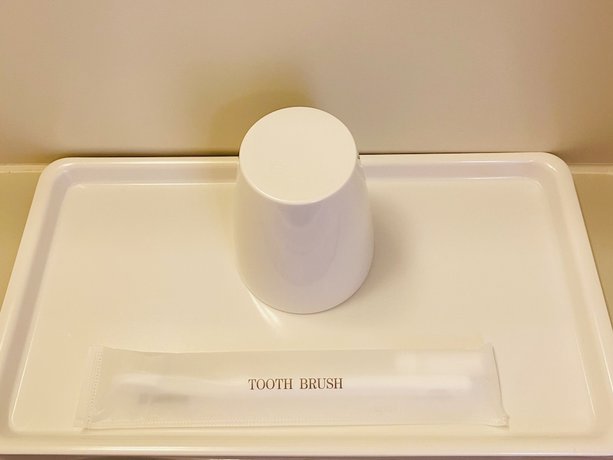 Imagen de la habitación del Hotel Toyoko Inn Tokyo Tameike-sanno-eki Kantei Minami. Foto 8
