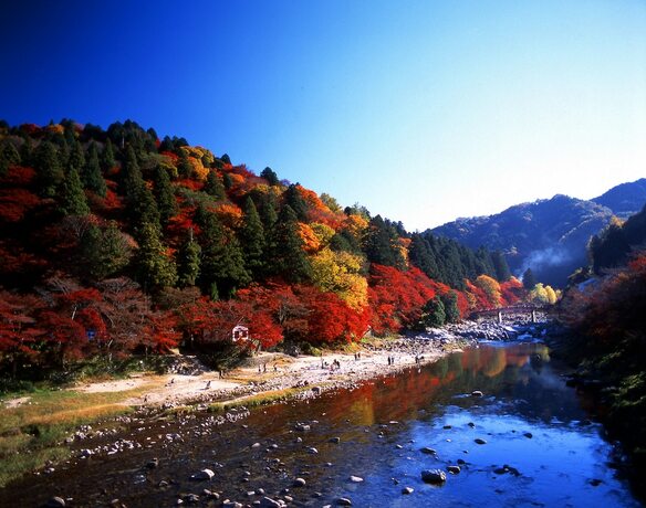 Imagen general del Hotel Toyota Prestige. Foto 3