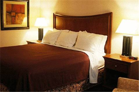 Imagen general del Hotel Trade Winds Central Inn. Foto 1