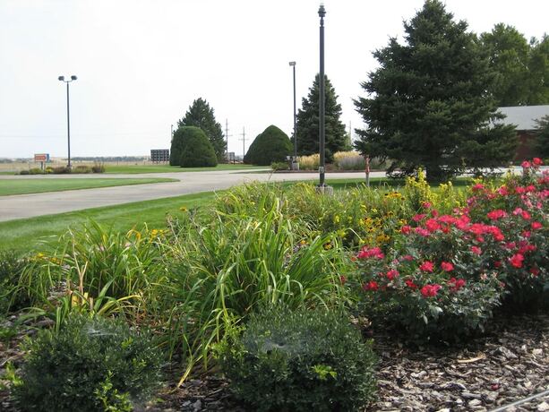 Imagen general del Hotel Trade Winds Motel. Foto 14