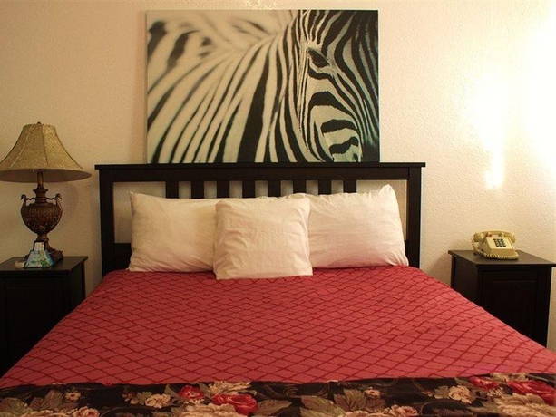 Imagen general del Hotel Tradewinds Airport. Foto 7