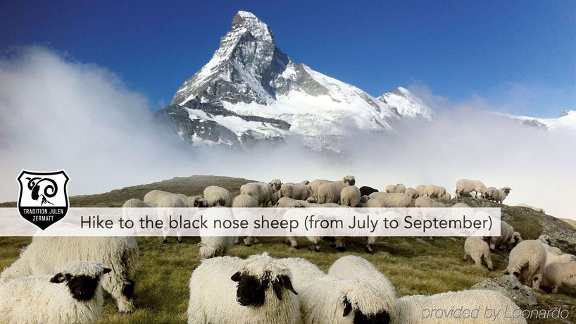 Imagen general del Hotel Tradition Julen. Foto 14