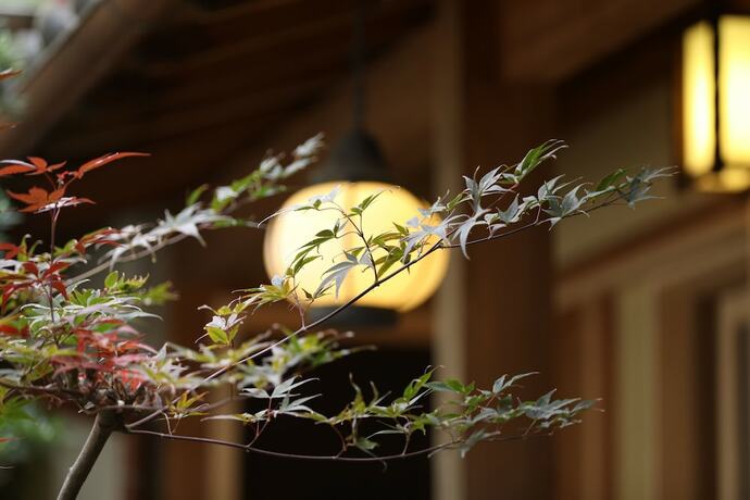 Imagen general del Hotel Traditional Guesthouse Tonari. Foto 13