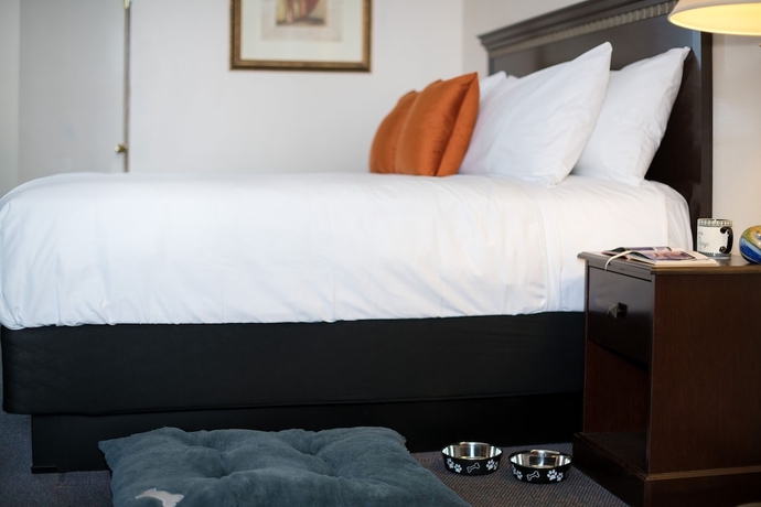 Imagen de la habitación del Hotel Trailborn Rocky Mountains Outpost. Foto 10