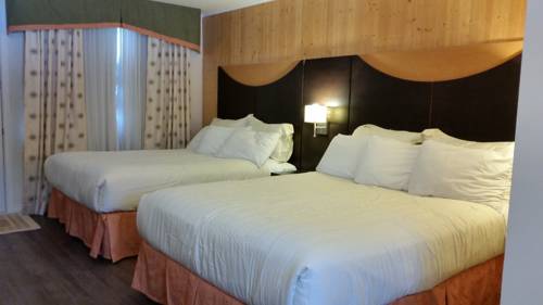 Imagen de la habitación del Hotel Trailsman Lodge. Foto 6