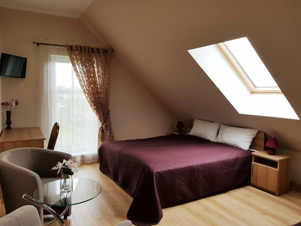 Imagen de la habitación del Hotel Trakaitis. Foto 18