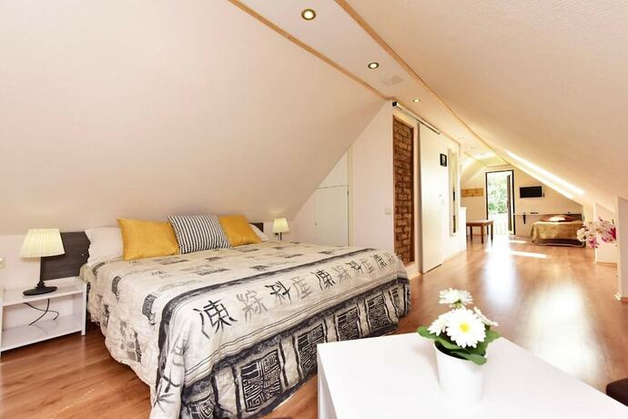 Imagen general del Hotel Trakaitis. Foto 13