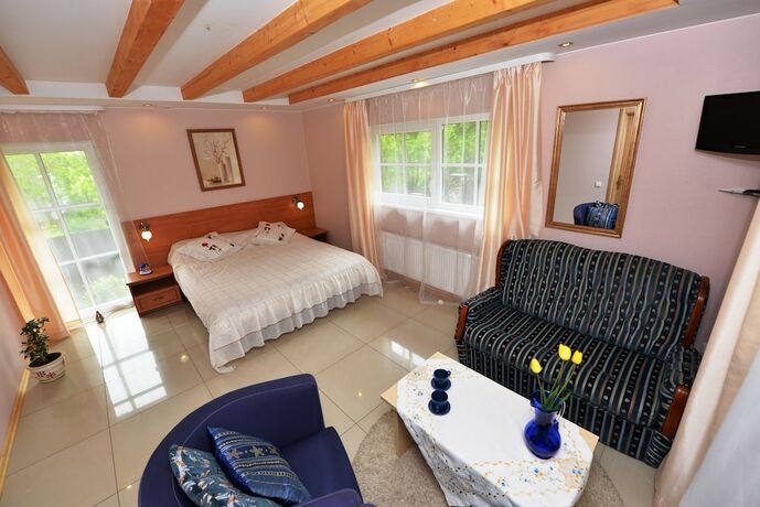 Imagen de la habitación del Hotel Trakaitis. Foto 20