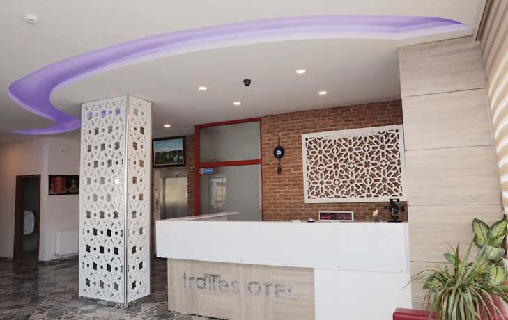 Imagen de los interiores del Hotel Tralles. Foto 19