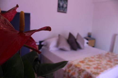 Imagen general del Hotel Tramonti Green. Foto 3