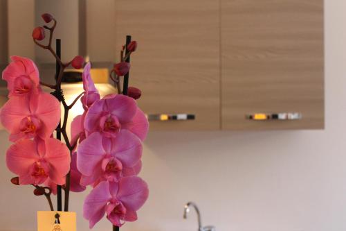 Imagen general del Hotel Tramonti Green. Foto 8