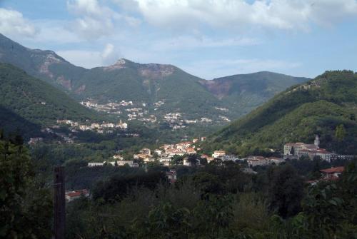 Imagen general del Hotel Tramonti Green. Foto 14