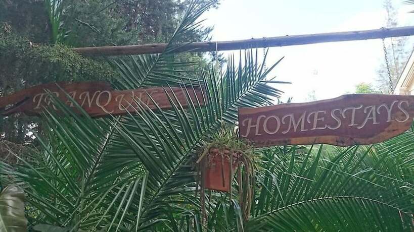 Imagen general del Hotel Tranquil Homestay. Foto 1