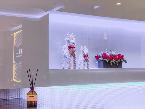 Imagen de los interiores del Hotel Tranquil Sea. Foto 18