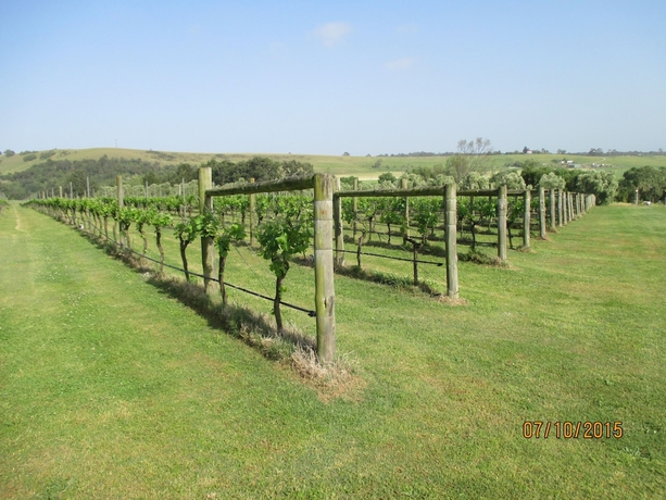 Imagen de los exteriores del Hotel Tranquil Vale Vineyard and Cottages. Foto 7