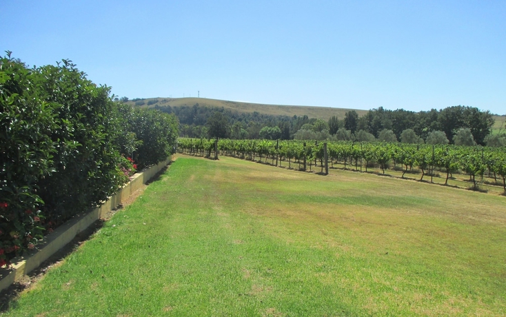 Imagen de los exteriores del Hotel Tranquil Vale Vineyard and Cottages. Foto 10