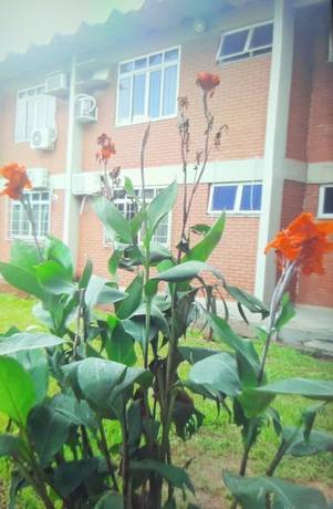 Imagen de los exteriores del Hotel Transito. Foto 11