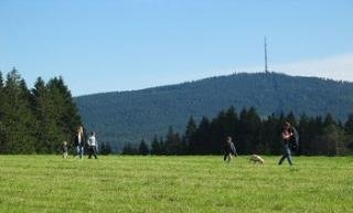 Imagen general del Hotel Transmar Travel. Foto 12