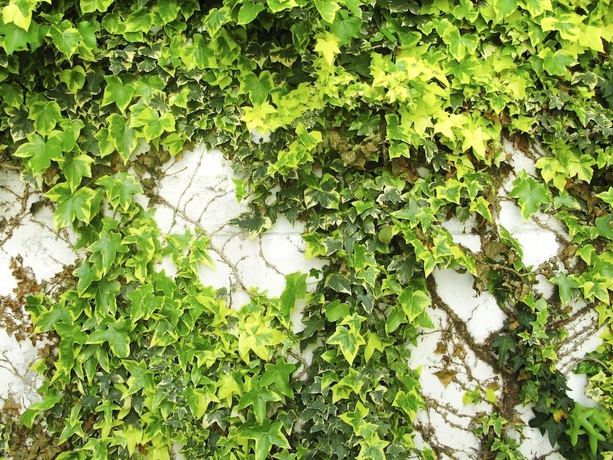 Imagen de la habitación del Hotel Trash Deluxe. Foto 17