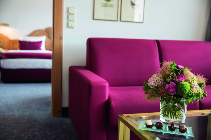 Imagen de la habitación del Hotel Traube Tonbach. Foto 8