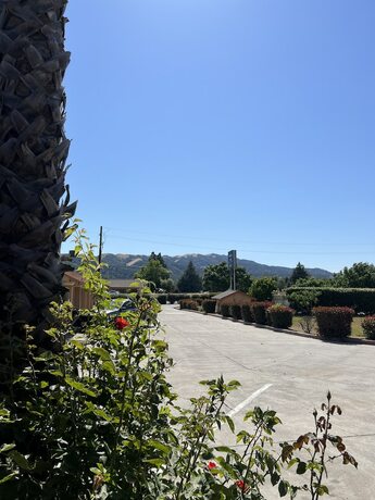Imagen general del Hotel Travel Inn Gilroy. Foto 4