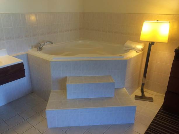 Imagen de la habitación del Hotel Travel Inn and Suites, Lakehurst. Foto 14