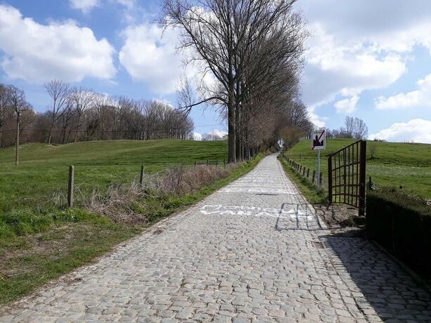 Imagen general del Hotel Travel Kruisem. Foto 7