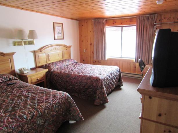 Imagen de la habitación del Hotel Traveler\'s Lodge. Foto 15