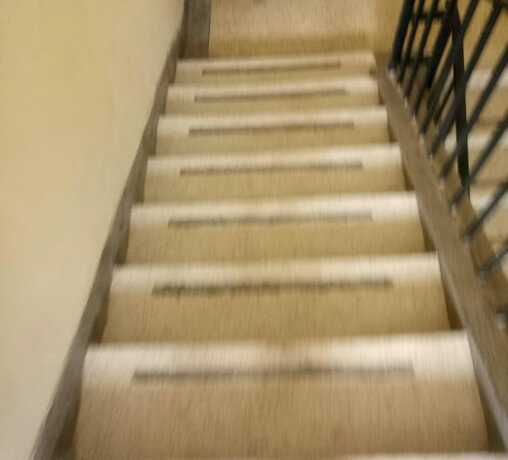 Imagen general del Hotel Travellers Guest House - Adults Only. Foto 4