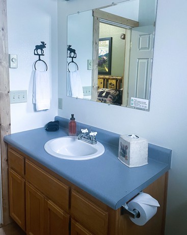 Imagen de la habitación del Hotel Travellers Rest Cabins and RV Park. Foto 3