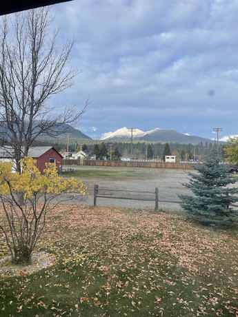 Imagen general del Hotel Travellers Rest Cabins and RV Park. Foto 1
