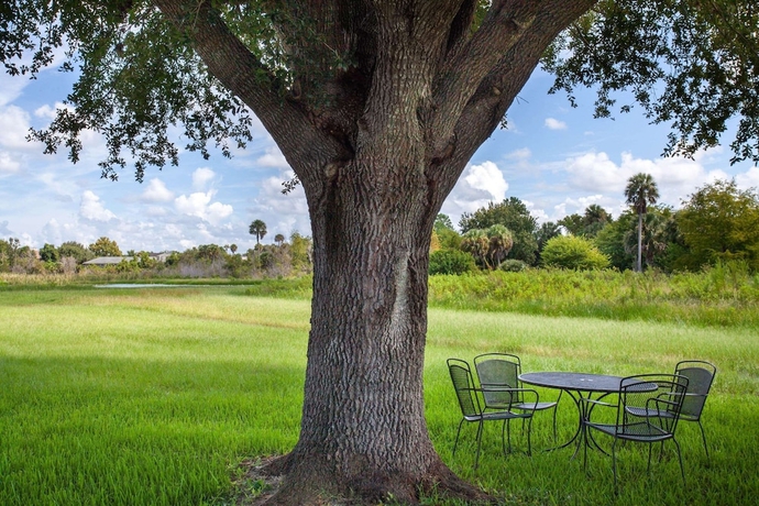 Imagen de los interiores del Hotel Travelodge By Wyndham Deltona. Foto 14