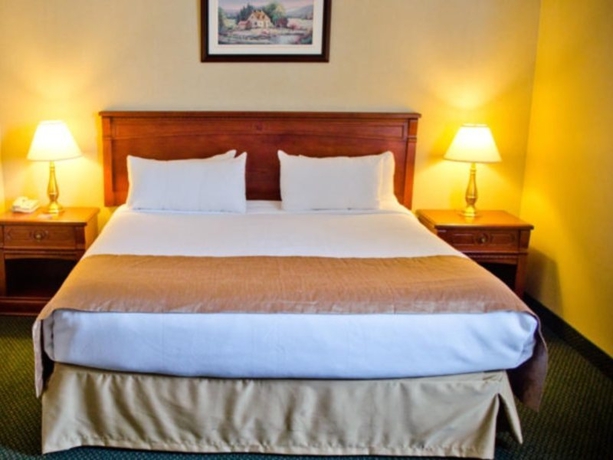 Imagen de la habitación del Hotel Travelodge By Wyndham Montreal Airport. Foto 5