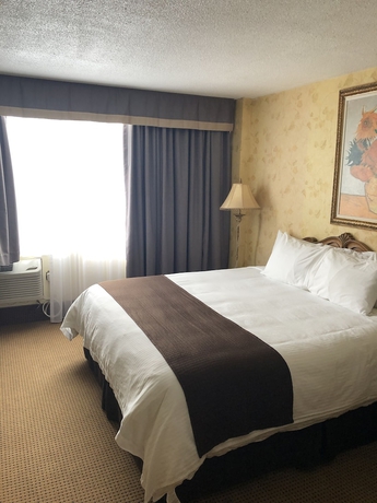 Imagen de la habitación del Hotel Travelodge By Wyndham Niagara Falls Fallsview. Foto 17