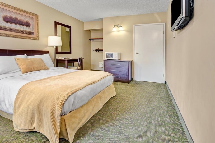 Imagen de la habitación del Hotel Travelodge By Wyndham Presidio San Francisco. Foto 7