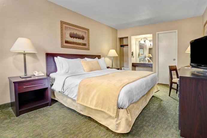 Imagen de la habitación del Hotel Travelodge By Wyndham Presidio San Francisco. Foto 8