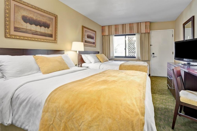 Imagen de la habitación del Hotel Travelodge By Wyndham Presidio San Francisco. Foto 9