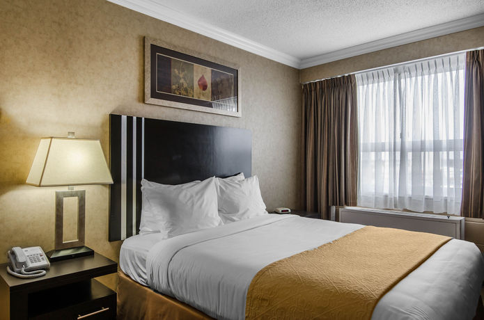 Imagen de la habitación del Hotel Travelodge By Wyndham Prince Albert. Foto 8