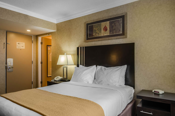 Imagen de la habitación del Hotel Travelodge By Wyndham Prince Albert. Foto 9