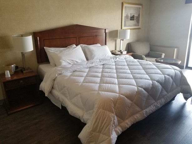 Imagen de la habitación del Hotel Travelodge By Wyndham Welland. Foto 5