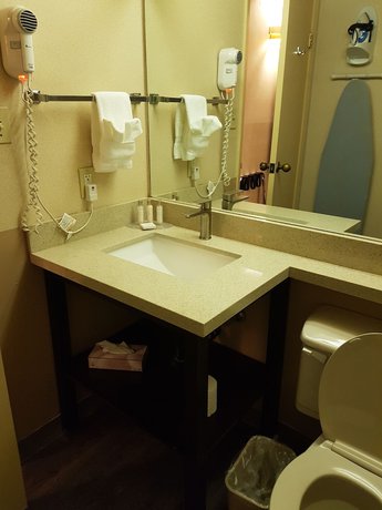 Imagen de la habitación del Hotel Travelodge By Wyndham Welland. Foto 7