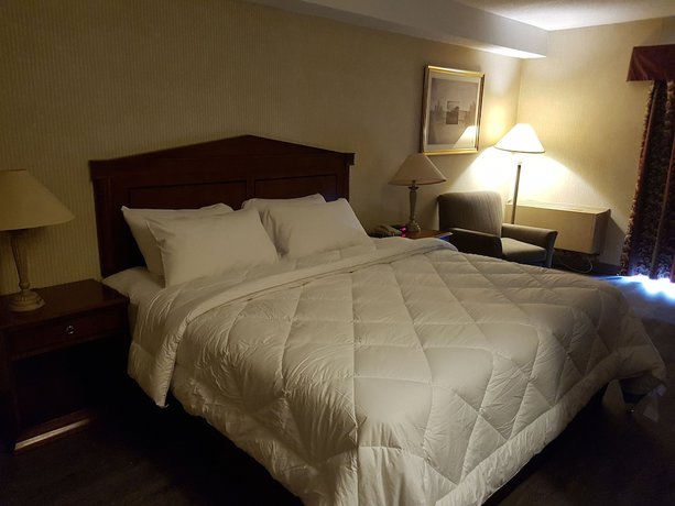 Imagen de la habitación del Hotel Travelodge By Wyndham Welland. Foto 14